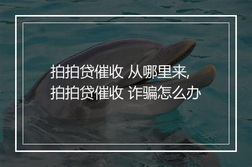 拍拍贷催收 从哪里来,拍拍贷催收 诈骗怎么办