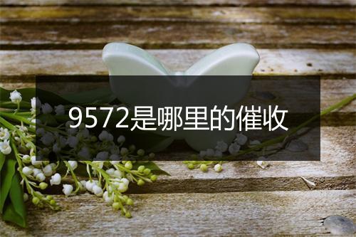 9572是哪里的催收