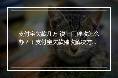 支付宝欠款几万 说上门催收怎么办？（支付宝欠款催收解决方案）