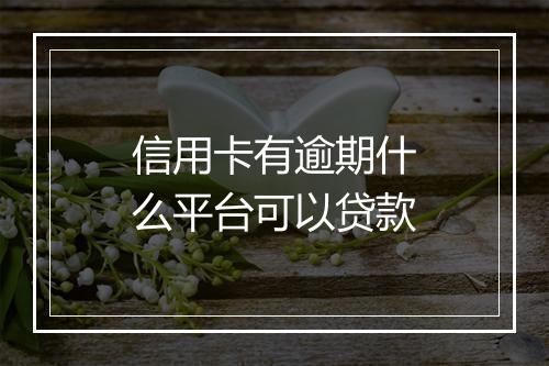 信用卡有逾期什么平台可以贷款