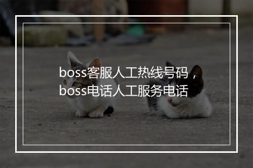 boss客服人工热线号码，boss电话人工服务电话