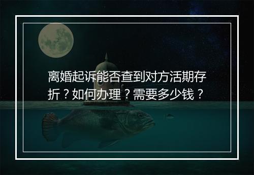 离婚起诉能否查到对方活期存折？如何办理？需要多少钱？