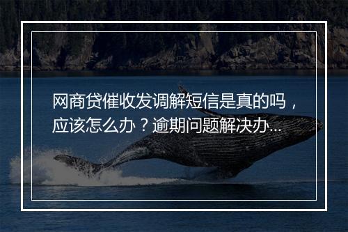 网商贷催收发调解短信是真的吗，应该怎么办？逾期问题解决办法