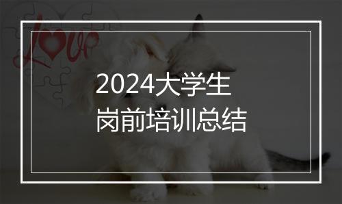 2024大学生岗前培训总结