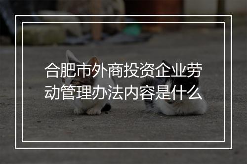 合肥市外商投资企业劳动管理办法内容是什么