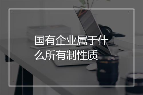 国有企业属于什么所有制性质