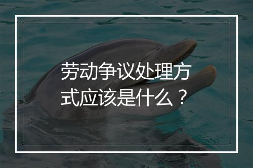 劳动争议处理方式应该是什么？