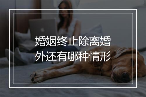 婚姻终止除离婚外还有哪种情形