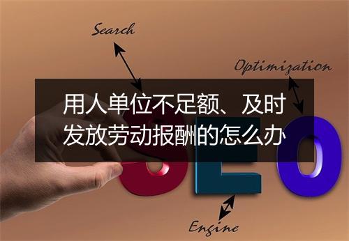 用人单位不足额、及时发放劳动报酬的怎么办