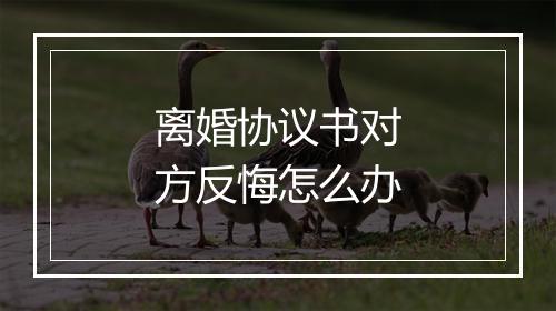 离婚协议书对方反悔怎么办