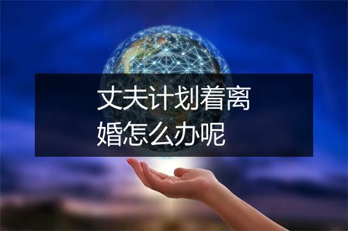丈夫计划着离婚怎么办呢