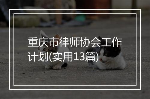 重庆市律师协会工作计划(实用13篇)