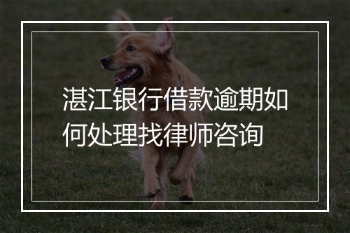 湛江银行借款逾期如何处理找律师咨询