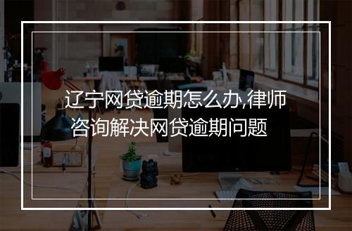 辽宁网贷逾期怎么办,律师 咨询解决网贷逾期问题