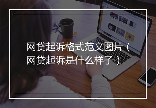 网贷起诉格式范文图片（网贷起诉是什么样子）