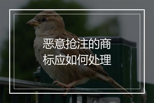 恶意抢注的商标应如何处理
