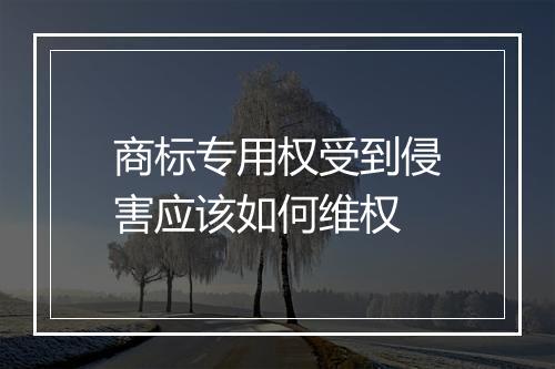 商标专用权受到侵害应该如何维权