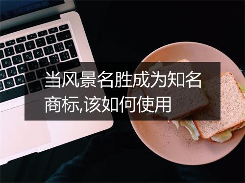 当风景名胜成为知名商标,该如何使用