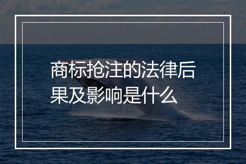 商标抢注的法律后果及影响是什么