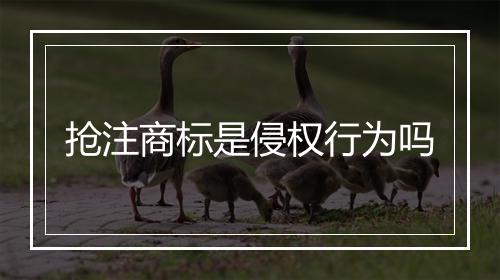 抢注商标是侵权行为吗