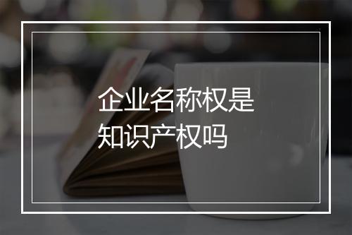 企业名称权是知识产权吗