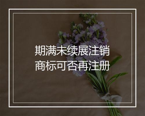 期满未续展注销商标可否再注册