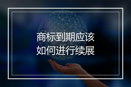 商标到期应该如何进行续展