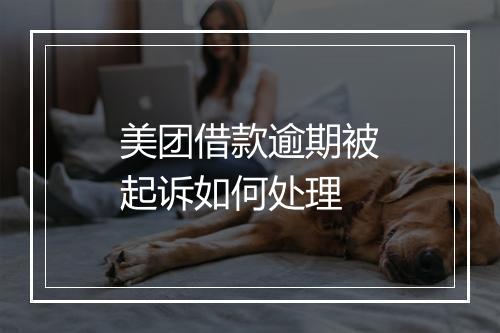 美团借款逾期被起诉如何处理