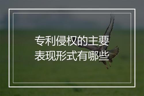 专利侵权的主要表现形式有哪些