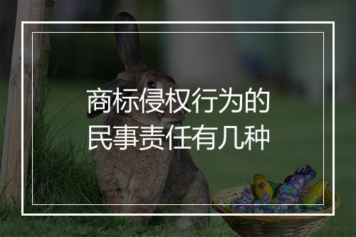 商标侵权行为的民事责任有几种