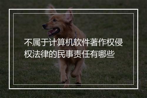 不属于计算机软件著作权侵权法律的民事责任有哪些