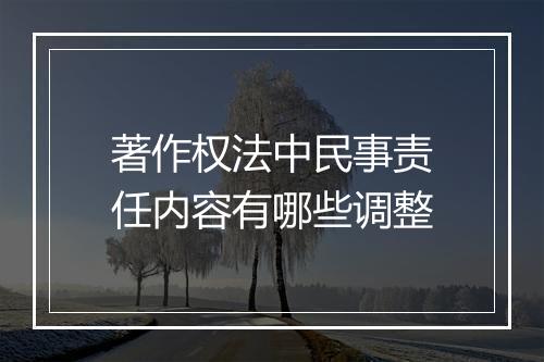 著作权法中民事责任内容有哪些调整