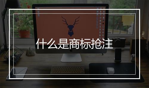什么是商标抢注