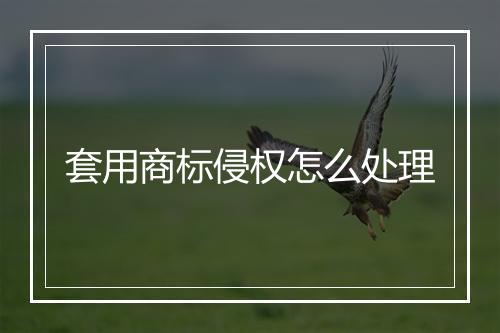 套用商标侵权怎么处理