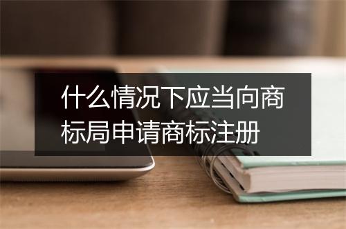 什么情况下应当向商标局申请商标注册