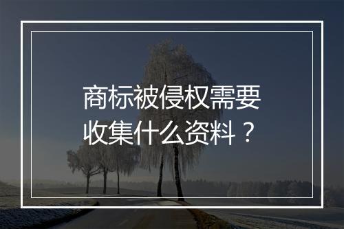 商标被侵权需要收集什么资料？