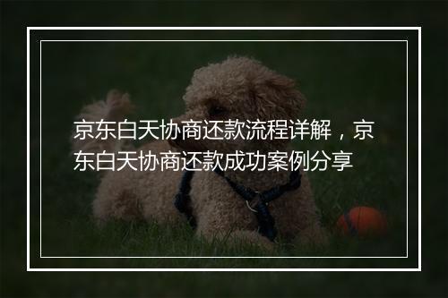 京东白天协商还款流程详解，京东白天协商还款成功案例分享