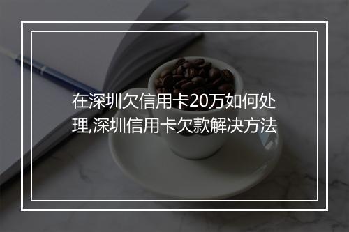 在深圳欠信用卡20万如何处理,深圳信用卡欠款解决方法