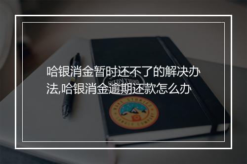 哈银消金暂时还不了的解决办法,哈银消金逾期还款怎么办