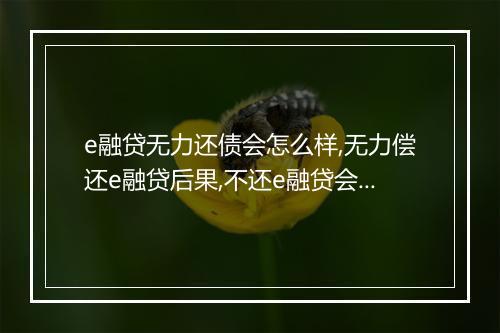 e融贷无力还债会怎么样,无力偿还e融贷后果,不还e融贷会有什么后果