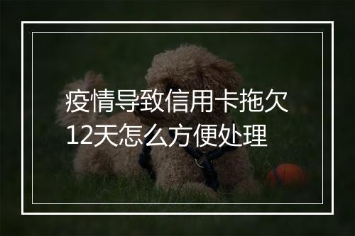 疫情导致信用卡拖欠12天怎么方便处理