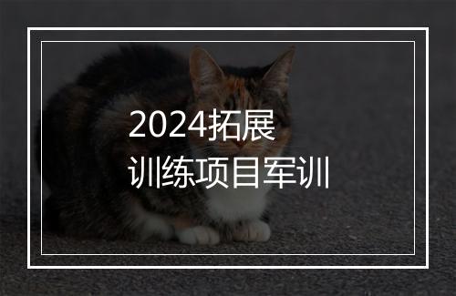 2024拓展训练项目军训