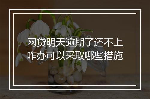 网贷明天逾期了还不上咋办可以采取哪些措施
