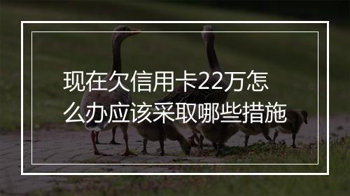 现在欠信用卡22万怎么办应该采取哪些措施