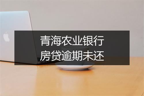 青海农业银行房贷逾期未还