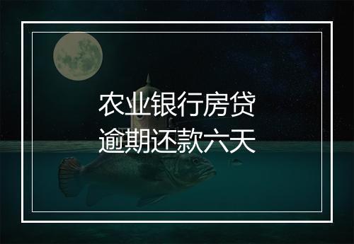 农业银行房贷逾期还款六天