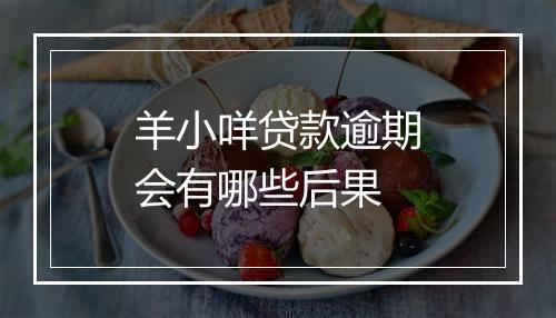 羊小咩贷款逾期会有哪些后果