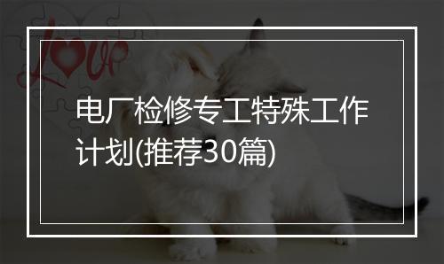 电厂检修专工特殊工作计划(推荐30篇)