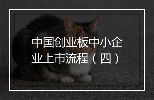 中国创业板中小企业上市流程（四）