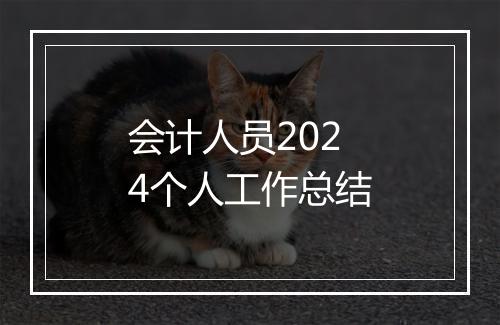 会计人员2024个人工作总结